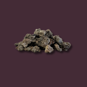 Black Copal (Nocturnal Copal)